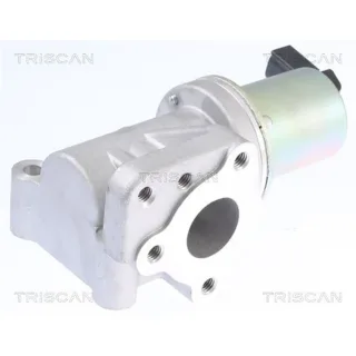 Triscan AGR-Ventil Hyundai H-1 2,5