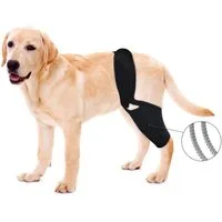 Ledander Stützbandage Kniebandage für Hunde, ACL mit seitlichen Stabilisatoren, Kniekappenluxation, Arthritis – hält das Gelenk warm und stabil