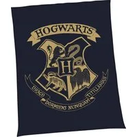 Wohndecke Harry Potter, Harry Potter, mit tollem Harry Potter Motiv, Kuscheldecke