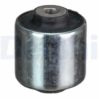 Delphi Querlenkerlager Mercedes S-Klasse W221 TD4223W