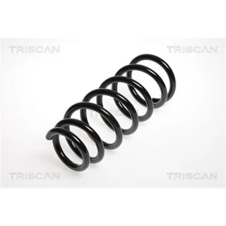 Triscan Feder hinten Nissan Primera P12