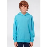 Champion Kapuzensweatshirt ICONS CONTRAST Terry Hoodie mit Kapuze, Langarm, aus Baumwolle und Polyester, gerader Abschluss