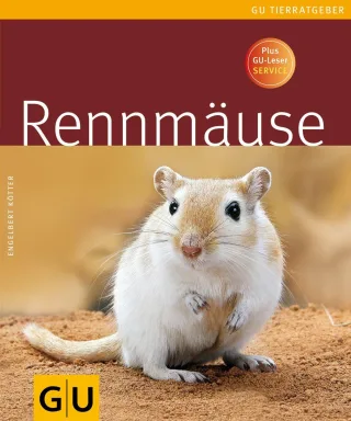 Rennmäuse (GU Tierratgeber) [Taschenbuch] [2008] Kötter Engelbert
