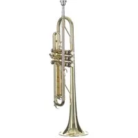Monzani Trompete, MZTR-113A Bb-Trompete Messing Schallbecher Edelstahl Ventile Goldlack Finish inklusive Mundstück und Koffer Ideal für Einsteiger Marschkapellen, Trompeten, Bb-Trompeten, Bb-Trompete, Einsteiger Trompete, Messing Trompete