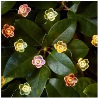 Lights4fun LED-Lichterkette 20er Micro Lichterkette außen bunte Rosen