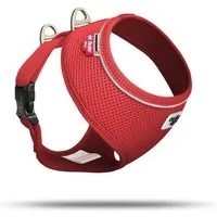 Curli Hunde-Geschirr Basic Geschirr Air-Mesh rot
