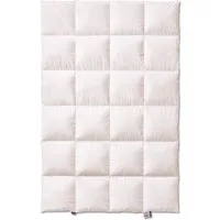 Kauffmann Daunenbettdecke Superior - Extra Warm, Daunenbettdecke mit 2cm Innen- und Außensteg, Füllung: 100% Daunen, Bezug: 100% Baumwolle, Extra warm für kalte Winternächte