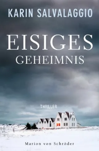 Eisiges Geheimnis: Thriller (Ein Macy-Greeley-Krimi Band 1)