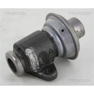 Triscan AGR-Ventil Renault 881325006 1,9