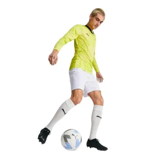 Puma - "Teamtarget" Torwarttrikot für Herren, Langärmlig (Gelb)