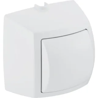 Geberit HyTouch WC-Handdrücker weiß-alpin 1-Mengen-Auslösung für Anstalten 240570111