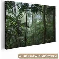 OneMillionCanvasses® Leinwandbild Regenwald - Tropisch - Dschungel - Bäume - Pflanzen, Fotodruck (1 St), Leinwand Bilder Klein, Wand Dekoration Aesthetic 30x20 cm