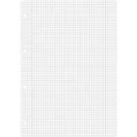 Baier & Schneider Collegeblock Ringbucheinlagen kariert 100 Blatt A4 mit Randlinie