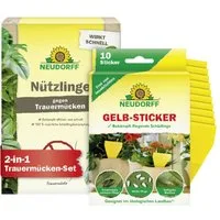 Neudorff Insektenvernichter Trauermücken-Set - 5 Mio. SF-Nematoden und Gelbsticker, Bekämpfung von Trauermücken mit Sofort- & Langzeitwirkung