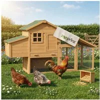 Zooprinz Hühnerstall Komfort XXL mit Freilauf 205x118x75 cm (BxHxT), Kiefernholz, Hühnerrampe, Nistkasten, Klappdach