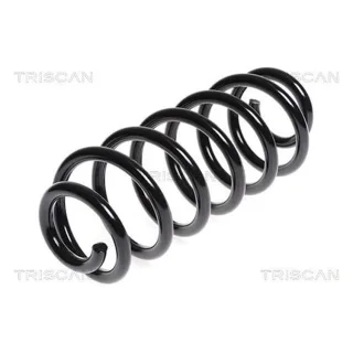 Triscan Feder hinten Audi A3 Seat Leon 875029248