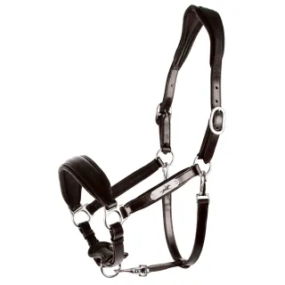 Lederhalfter SP Fremont Pro