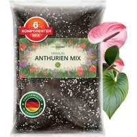 OraGarden Gartenbau-Substrat Anthurien Erde