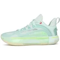 PEAK TaiChi Flash 5.0 Basketballschuh