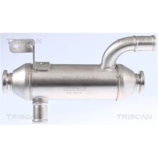 Triscan AGR-K?hler Citroen Peugeot 881328101 2,0