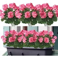 Kunstblumenstrauß 1/3/4 Bündel Künstliche Blumen Geranie Blumen Dekoration Faux, Agger