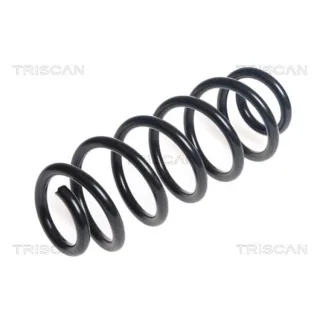 Triscan Feder hinten Seat Leon VW Golf 2,0