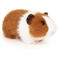 Uni-Toys Kuscheltier Meerschweinchen - verschiedene Farben - 21 cm (Länge) - Plüschtier, zu 100 % recyceltes Füllmaterial
