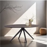 Homestyle4u Esstisch 200x100 cm Esszimmertisch Küchentisch Oval Metall rund Steinoptik (1-St., Kufentisch, Mocha Mousse, Spidergestell, Steinoptik, Konferenztisch), HPL (High Pressure Laminate), beschichtet, kratzfest, Industrial, matt