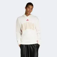 adidas Sportswear Kapuzensweatshirt STADIUM GRAPHIC HOODIE