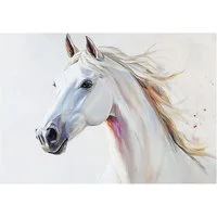 Wallarena Fototapete Pferd Tiere - Mehrfarbig - Kinder - Vlies - Schlafzimmer, glatt, (8 St), 400x280cm