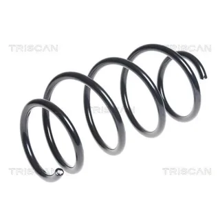Triscan Feder vorne Renault Grand Megane Sc?nic 87502595