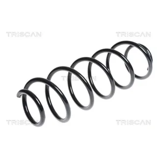 Triscan Feder hinten Renault Laguna 3 87502583
