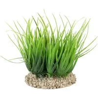 Europet-Bernina Aquariendeko Helanthium grün für Aquarien