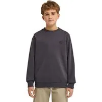 Element Sweatshirt Lakeside