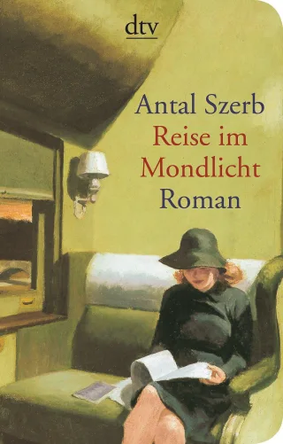 Reise im Mondlicht: Roman (dtv Unterhaltung)