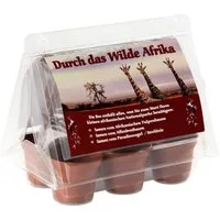 Gewächshaus Mini-Gewächshaus - Durch das wilde Afrika - mit Samen vom Tulpenbau