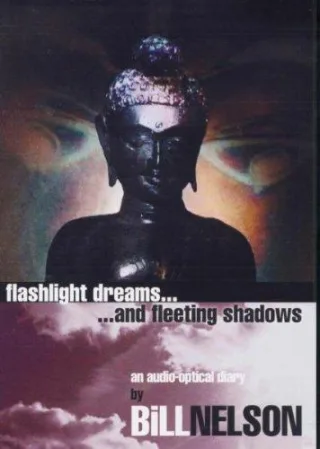 Bill Nelson - Flashlight Dreams & Fleeting Shadows
