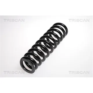 Triscan Feder hinten Mercedes M-Klasse W163