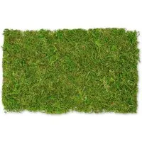 NaDeco Bastelnaturmaterial Moosplatte ca. 30x18cm Moosmatte