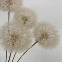 Trockenblume XXL Pusteblume getrocknet & konserviert – echte Natur Löwenzahn (Taraxacum officinale), getrocknet, LYKKE & You, Konserviert, langlebig, kein Gießen erforderlich