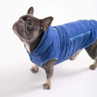 PAW WOW Hundejacke IMMI Blau M