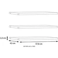 FORTE Einlegeboden, Einlegeböden 2,2 cm Stärke, optional bestellbar, 3er Set