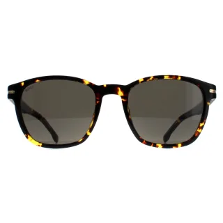 Hugo Boss Square Herren Havanna Dunkelgrau BOSS 1505/S