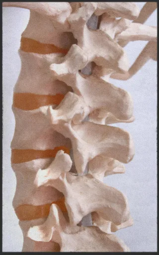 Fussmatte Orthopäde  7308 | Größe: 60 cm x 90 cm