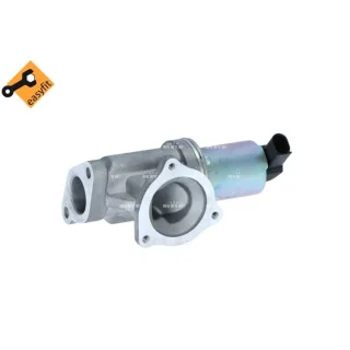 NRF AGR-Ventil Hyundai Kia 48384