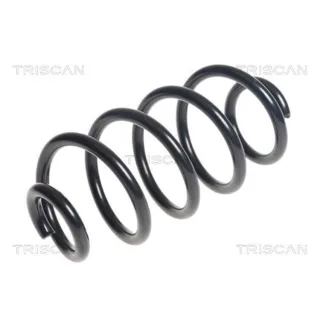 Triscan Feder hinten Nissan Juke