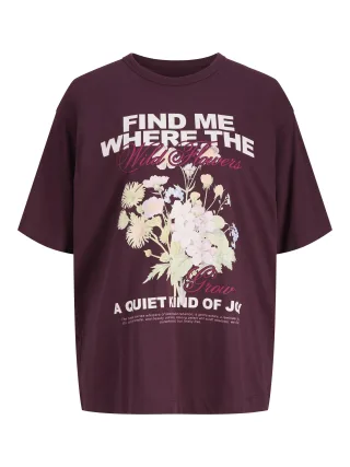 JJXX - JXSANDRA LOOSE SS TEE JRS Violett - Gr. - XL