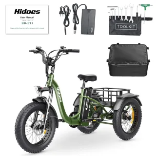 [EU DIRECT] Hidoes HD-ET1 Electric Tricycle Cargo 48V 20AH Battery 750W Motor Recommended Top Speed 25KM/H 20inches Tire