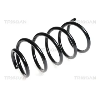 Triscan Feder vorne Fiat Scudo