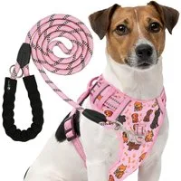 Reichstadt Hunde-Geschirr RS Pets Hundegeschirr & Leinen Set 25RSP083-4, Polyester, atmungsaktives Netzgewebe und robuster Oxford-Stoff